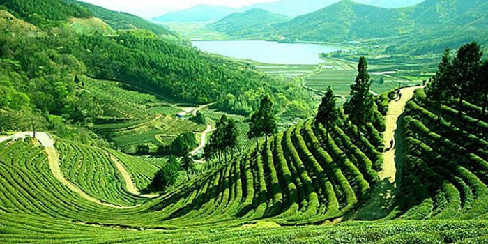 Sylhet