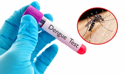 ডেঙ্গু বাড়ছে জ্যামিতিক হারে, বিপজ্জনক পরিস্থিতির আশঙ্কা